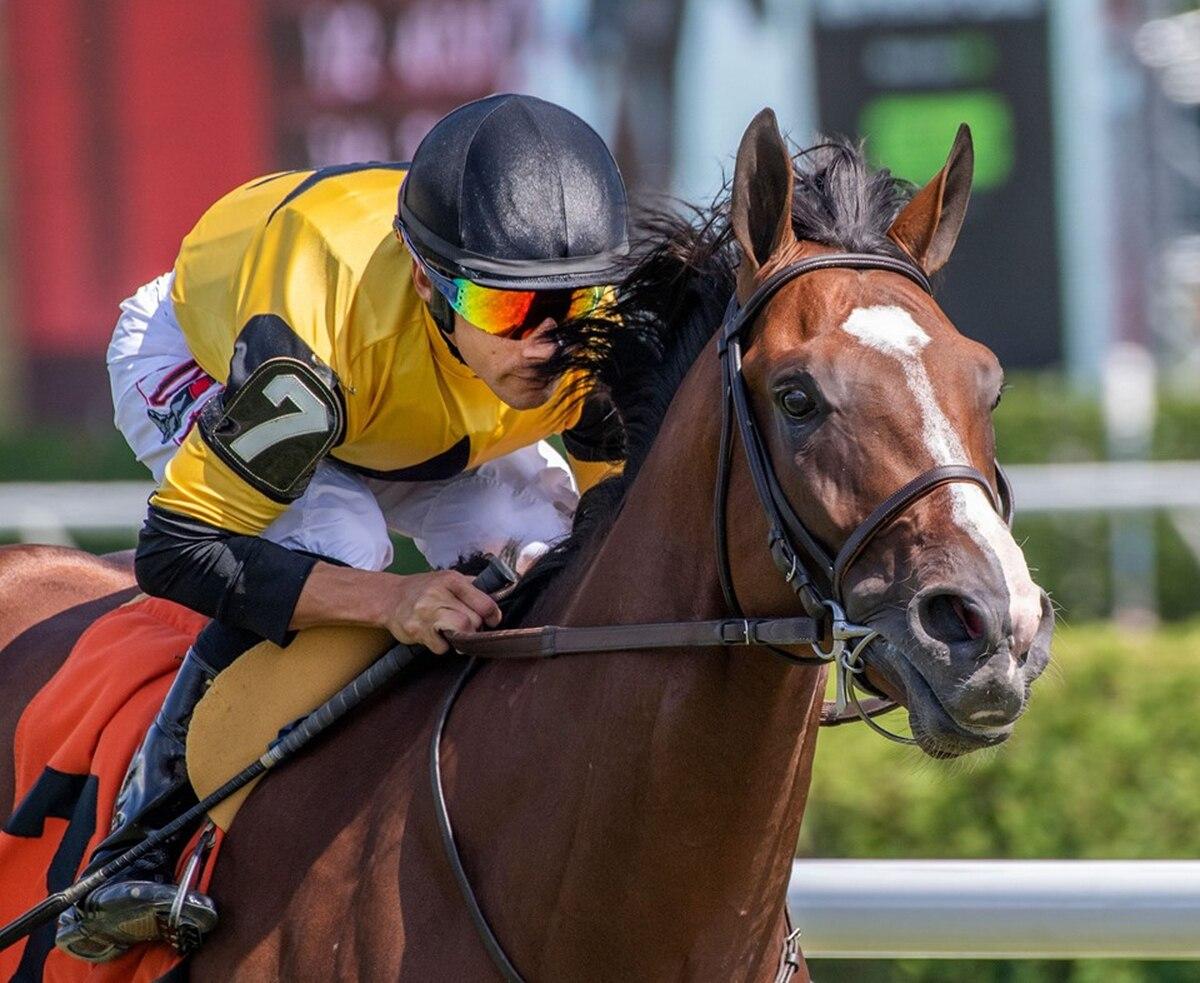  Decorated Invader - Two West Point graduatesâ€™ quest to champion the horse racing business