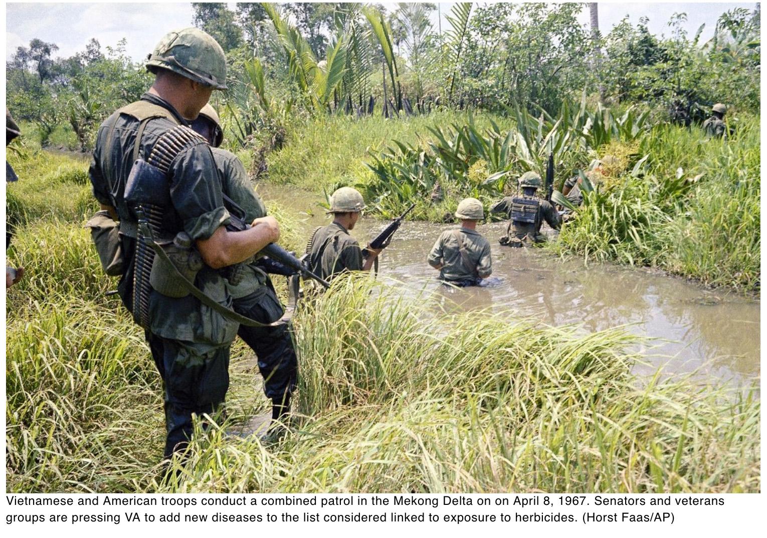  Agent Orange decision delay draws criticism
