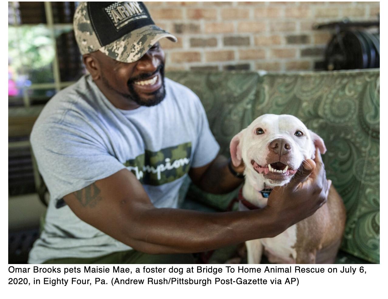 Army vet finds peace fostering pets, finding them homes