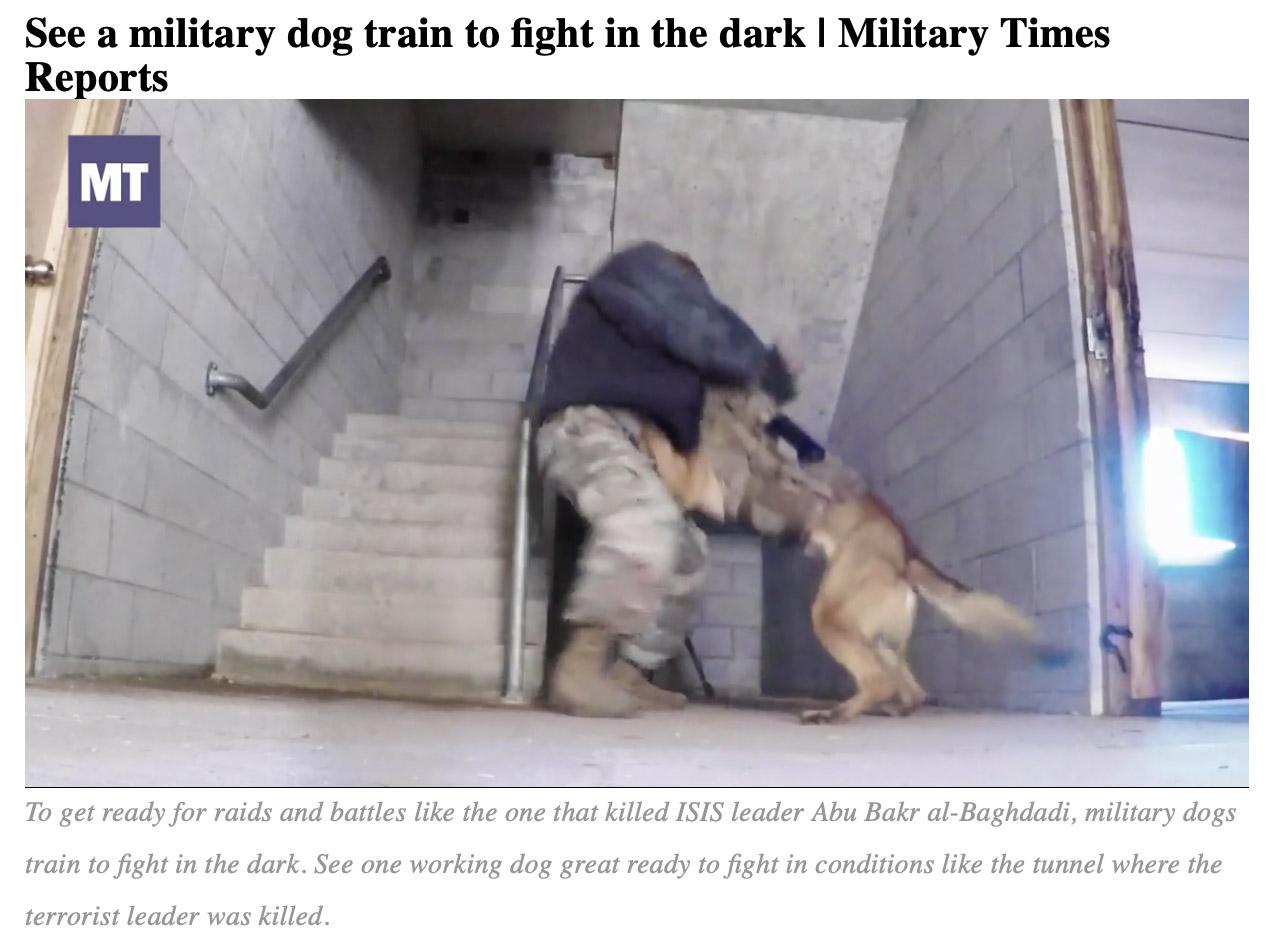  How augmented reality for military dogs could change how canine battle buddies operate