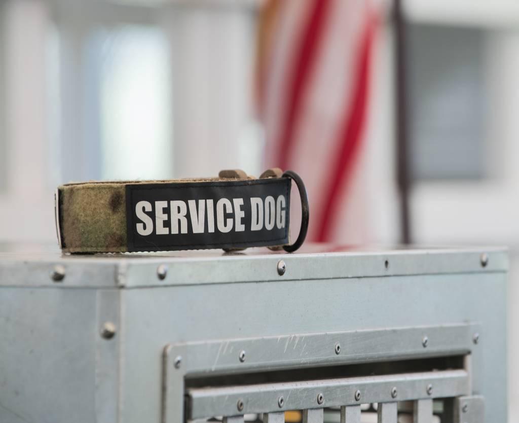 A service dog collar is placed on top of a kennel before a military working dog retirement ceremony at Barksdale Air Force Base, Louisiana, August 22, 2019. (Airman 1st Class Lillian Miller/Air Force) Louisiana National Guard medics learn dog treatments, too