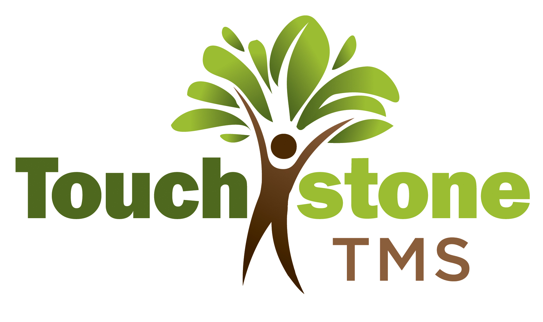 Logo: Touchstone TMS