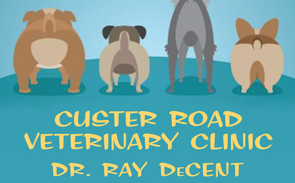 Logo: Custer Road Veterinary Clinic